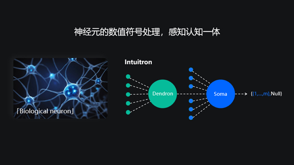 INN inside™ Basic thumbnail 2